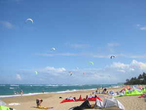 kites