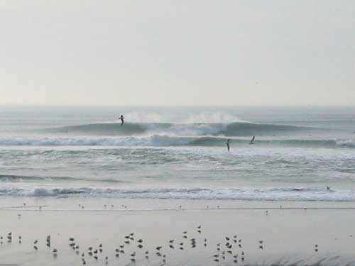 sloat