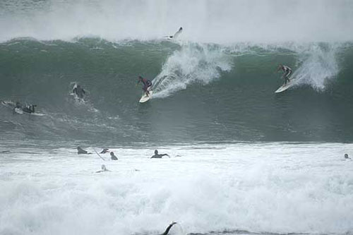 swamis crowds